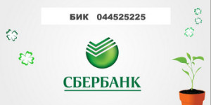 Бик 044525225 — реквизит ПАО Сбербанк России