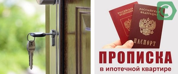 Кадастровый паспорт на дачный участок